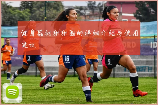 健身器材甜甜圈的详细介绍与使用建议