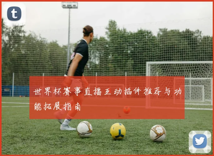 世界杯赛事直播互动插件推荐与功能拓展指南