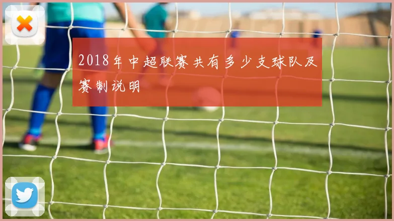 2018年中超联赛共有多少支球队及赛制说明