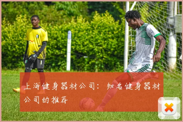 上海健身器材公司：知名健身器材公司的推荐
