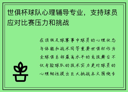 世俱杯球队心理辅导专业，支持球员应对比赛压力和挑战